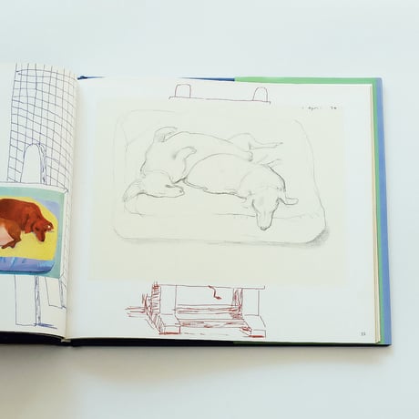 David Hocknet's Dog Days