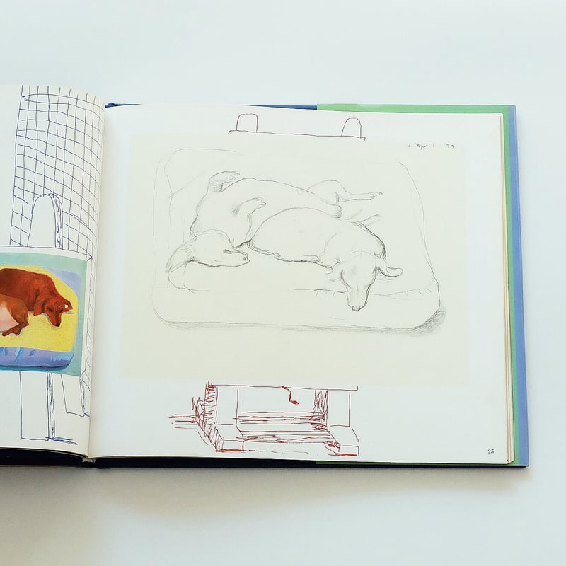 David Hocknet's Dog Days | Book Ernest