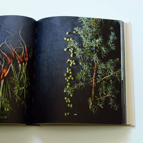 Noma: Time and Place in Nordic Cuisine