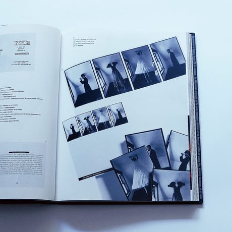 AIGA: Graphic Design USA 13