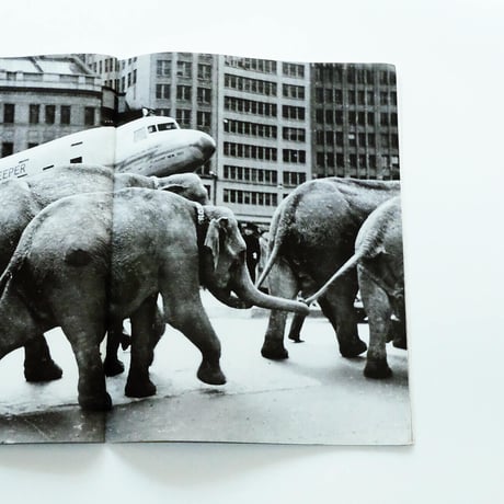 Andre Kertesz: STERN Fotografie Portfolio No.31