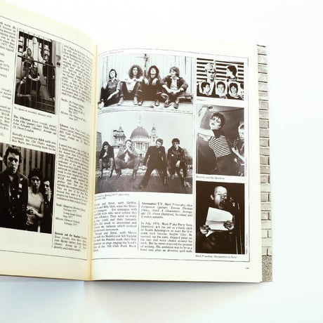 1988 The New Wave Punk Rock Explosion