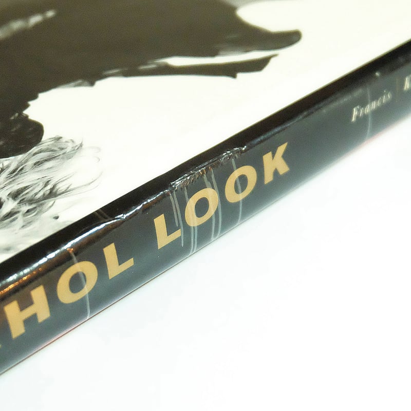 The Warhol Look: Glamour, Style, Fashion | Book