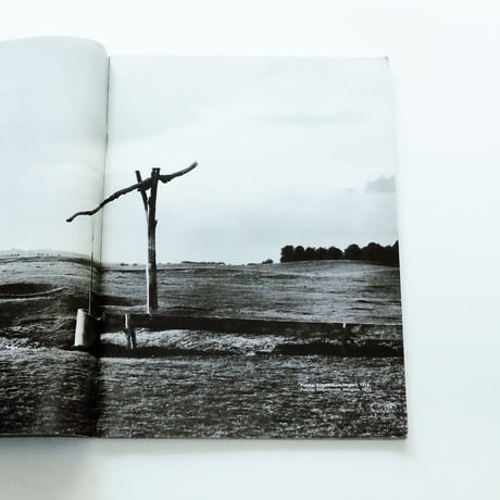 Andre Kertesz: STERN Fotografie Portfolio No.31