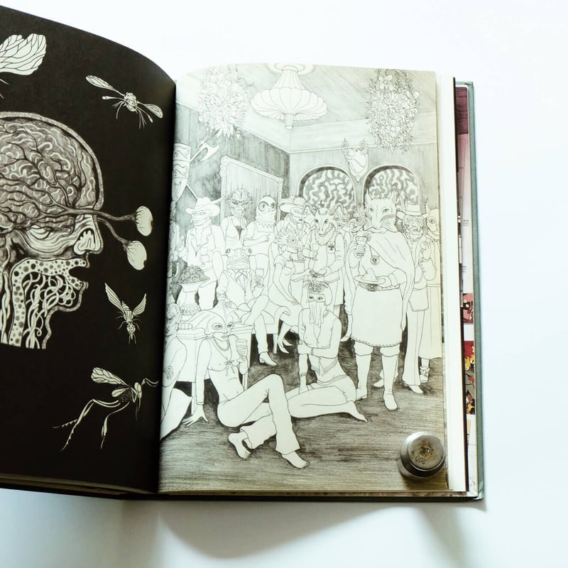 Where is SILAS ? | Book Ernest