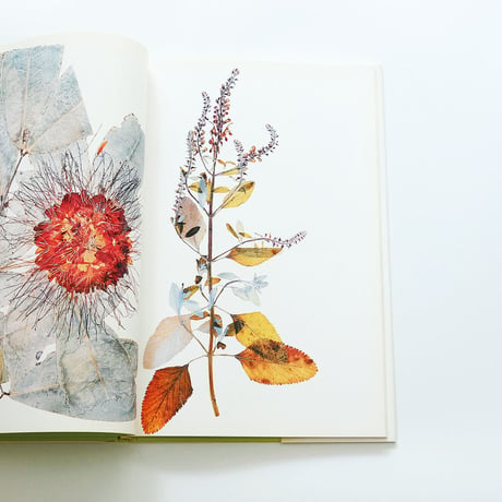 Nick Knight: Flora