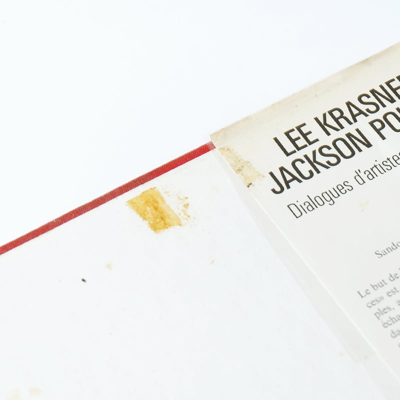 Lee Krasner - Jackson Pollock 1989 | Book Ernest Lee Krasner - Jackson Pollock 1989 | Book Ernest