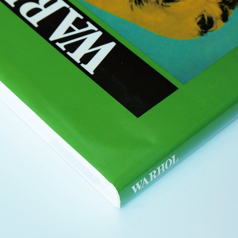 Andy Warhol: Great Modern Masters | Book Ernest