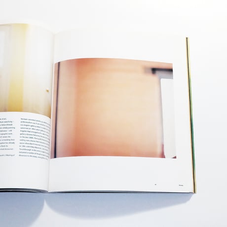 Uta Barth: Contemporary Artists Series