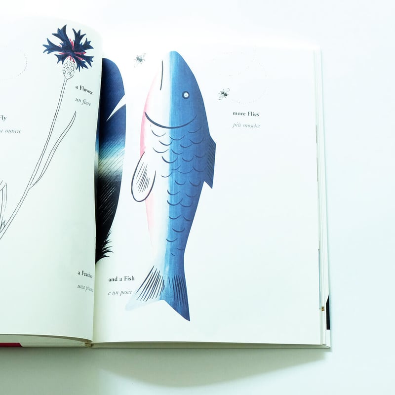 Bruno Munari′s ABC | Book Ernest