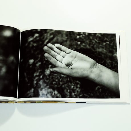 Wild Precious: Jesse Burke