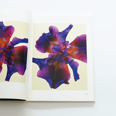 Fleur Olby: Plant Portraits