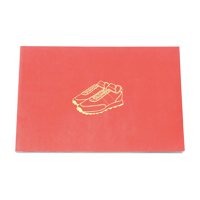 The Sneaker Book