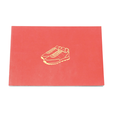 The Sneaker Book