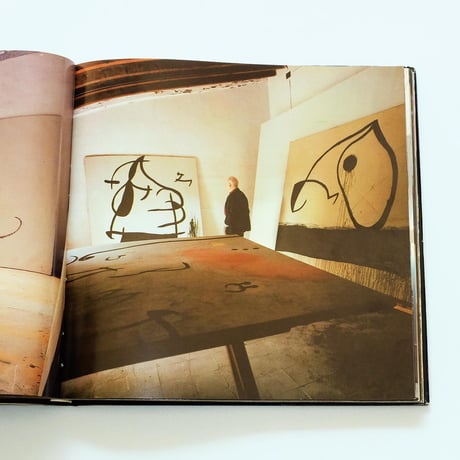 Miro: Noranta Anys