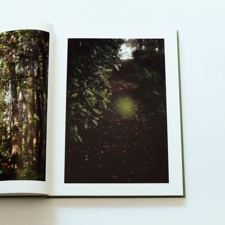 Terri Weifenbach: The may sun