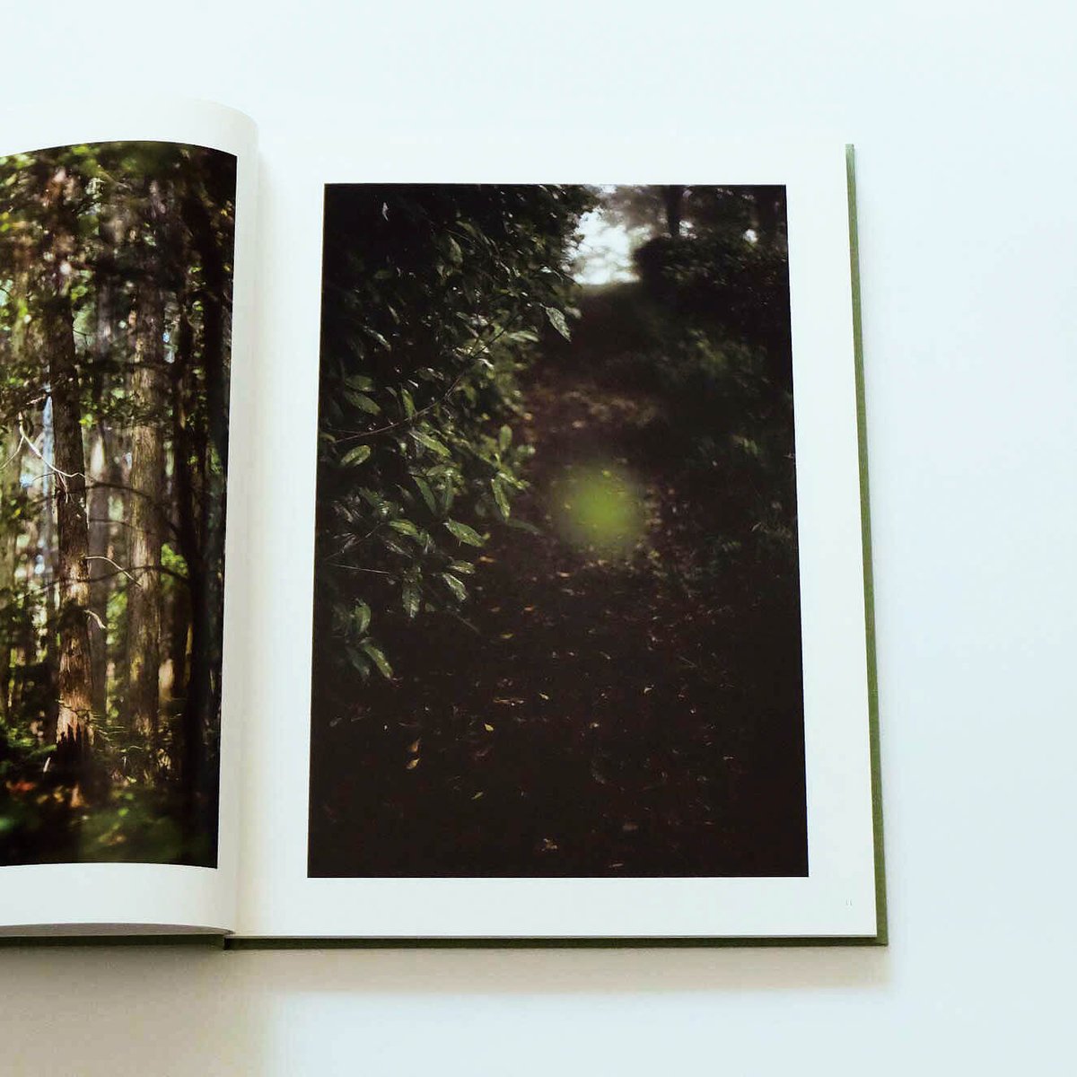 Terri Weifenbach: The may sun | Book Ernest Terri Weifenbach: The may sun | Book Ernest