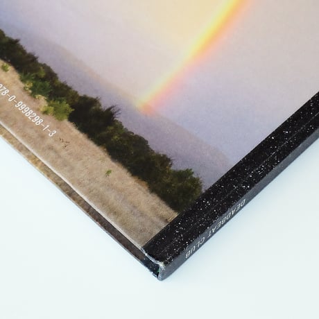 Ed Panar: In The Vicinity