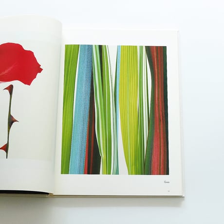 Fleur Olby: Plant Portraits
