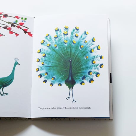 Bruno Munari′s Zoo