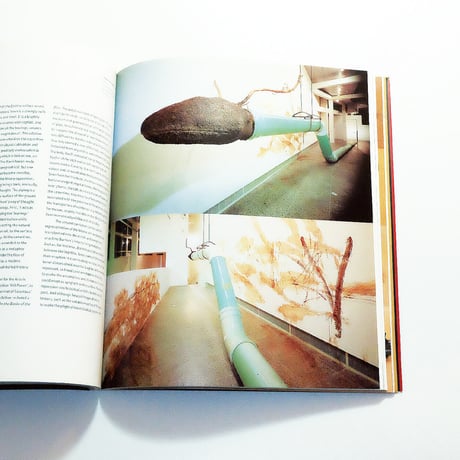 Jimmie Durham: Phaidon Contemporary Artists Series