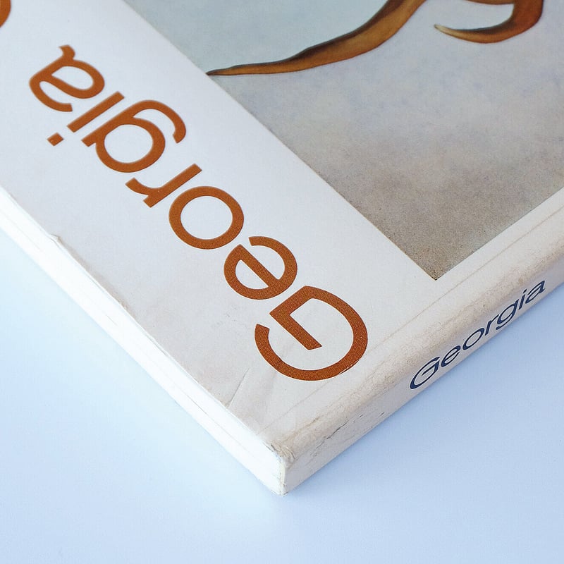 Georgia O′Keeffe: Painting | Book Ernest