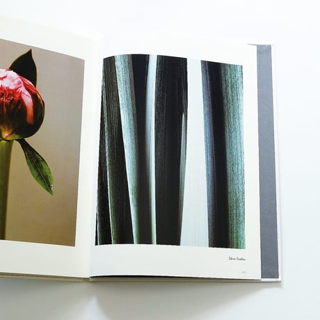 Fleur Olby: Plant Portraits