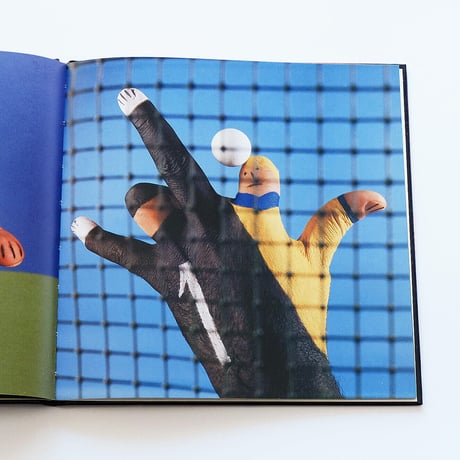 Mario Mariotti: Fallo Di Mano