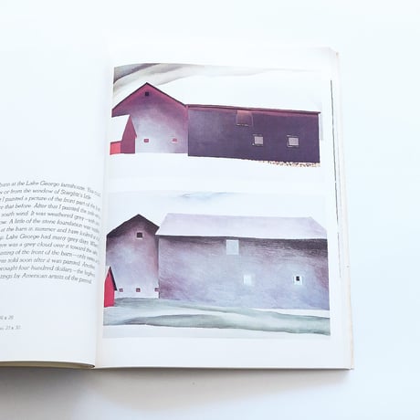 Georgia O′Keeffe: Painting