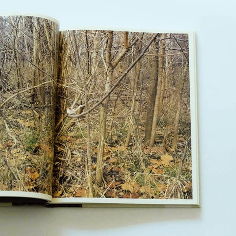 Paula McCartney: Bird Watching
