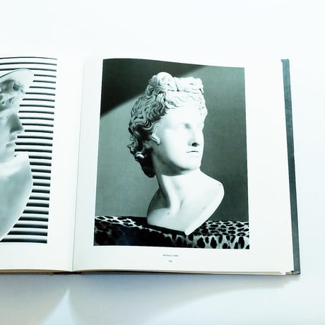 Robert Mapplethorpe: Mapplethorpe