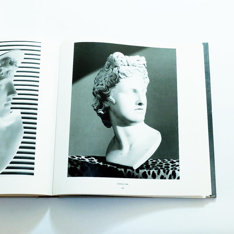露語　ван Гулик Роберт ロバート 2冊 Robert Mapplethorpe: Mapplethorpe | Book Ernest