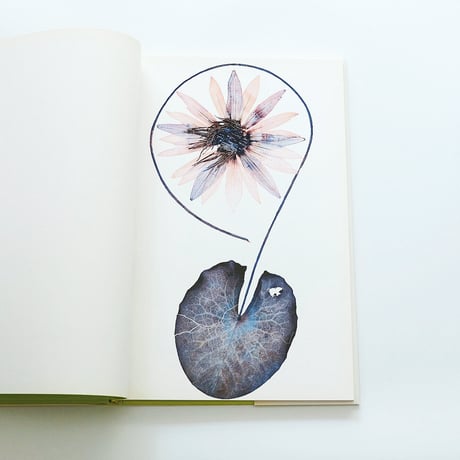 Nick Knight: Flora