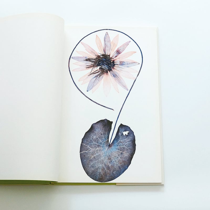 【Flora / Nick Knight】ニック・ナイト ★★未読品・美本 Nick Knight: Flora | Book Ernest