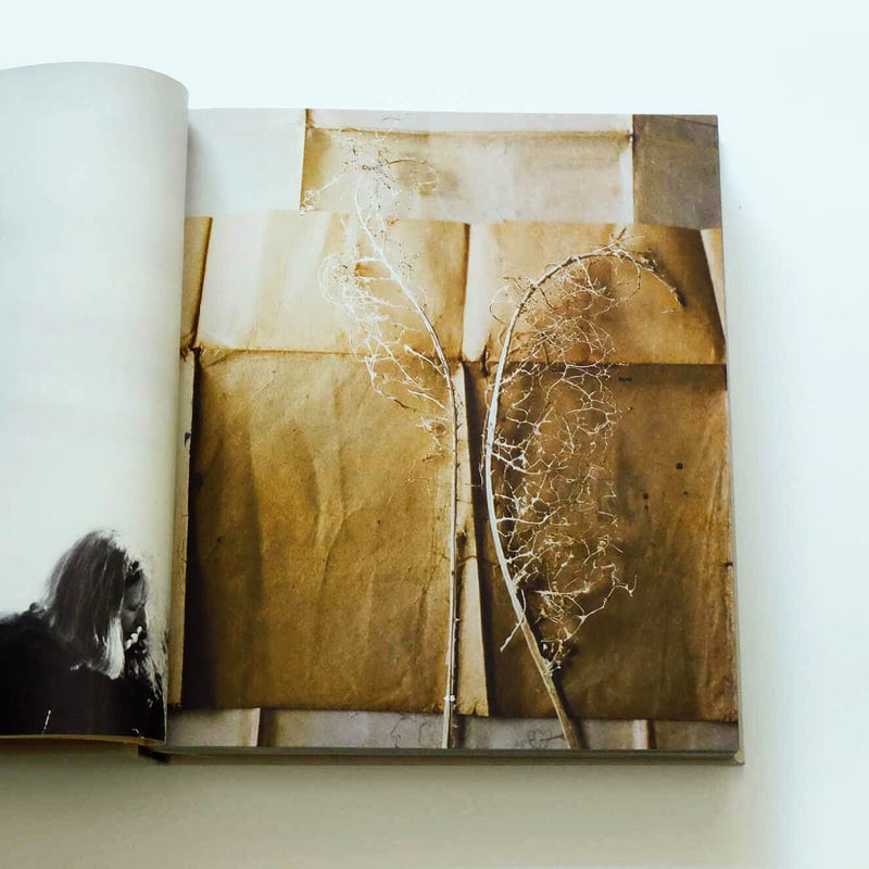 Noma: Time and Place in Nordic Cuisine | Book E