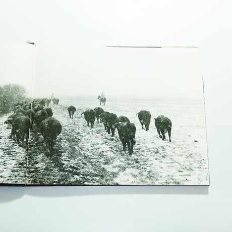 After Barbed Wire: Cowboys of Our Time