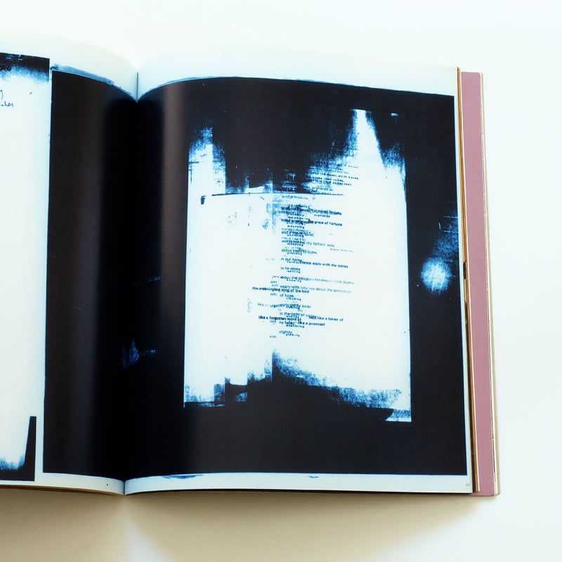 Process; A Tomato Project | Book Ernest