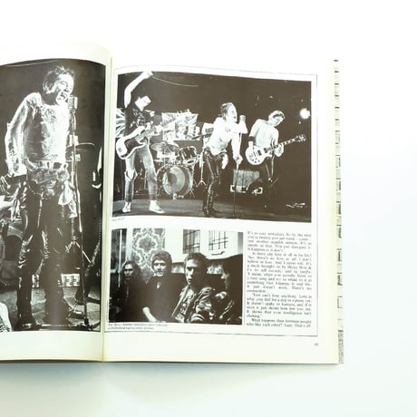 1988 The New Wave Punk Rock Explosion