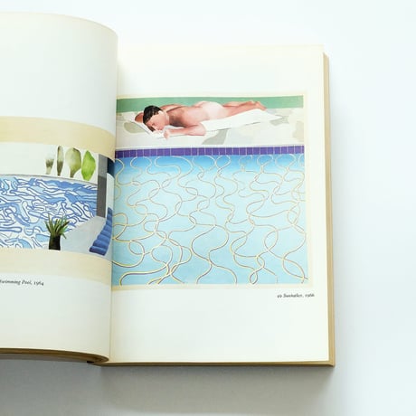 David Hockney by Marco Livingstone
