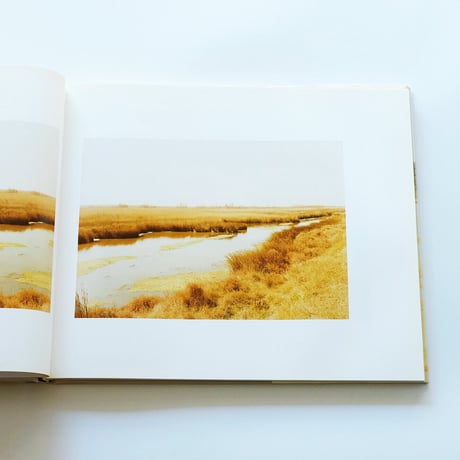 Elger Esser: Vedutas and Landscapes