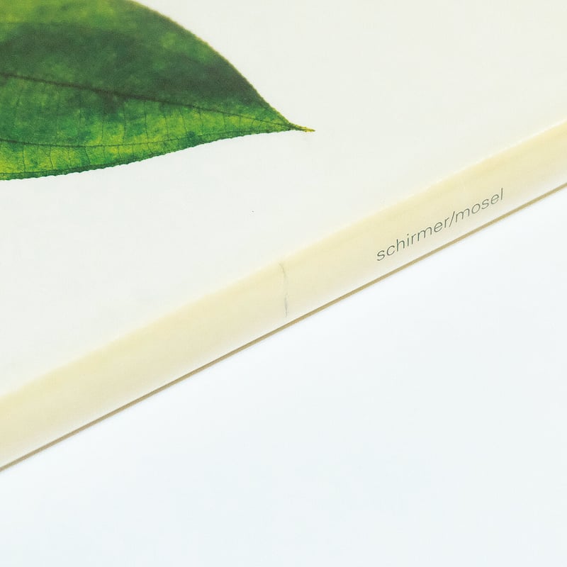 Nick Knight: Flora | Book Ernest