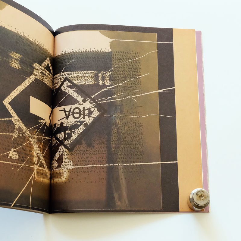 Process; A Tomato Project | Book Ernest