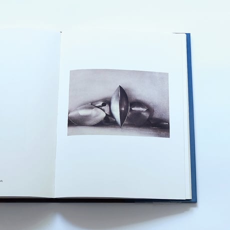 Sheila Metzner: Color
