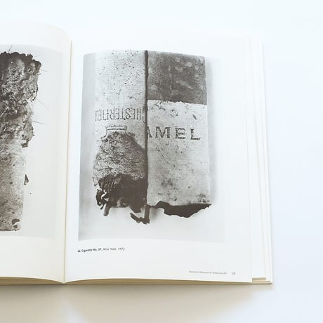 Irving Penn: Master Images