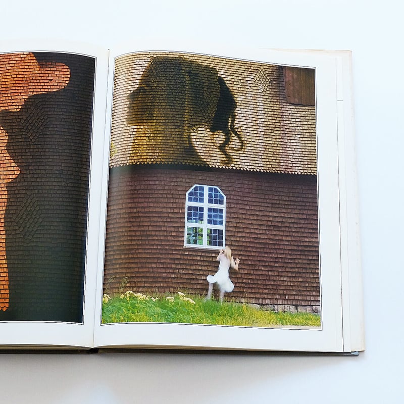 Sam Haskins: Photo Graphics | Book Ernest Sam Haskins: Photo Graphics | Book Ernest