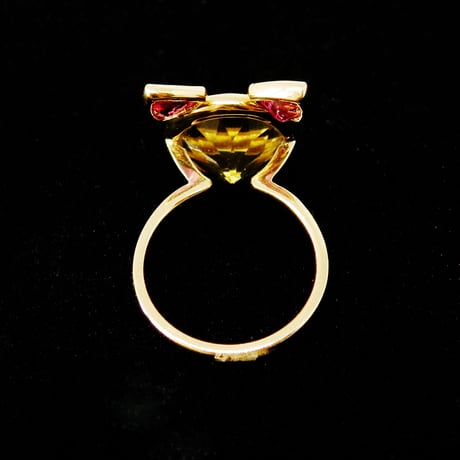 Cat ring
