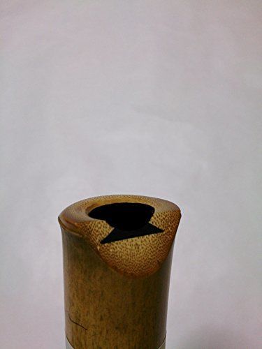 尺八 玉山銘 真竹 琴古流 1尺6寸管 1.6 shakuhachi kinko-ryu n