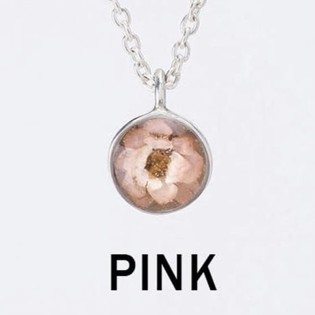Viburnum Pieace (1個あたりの価格）