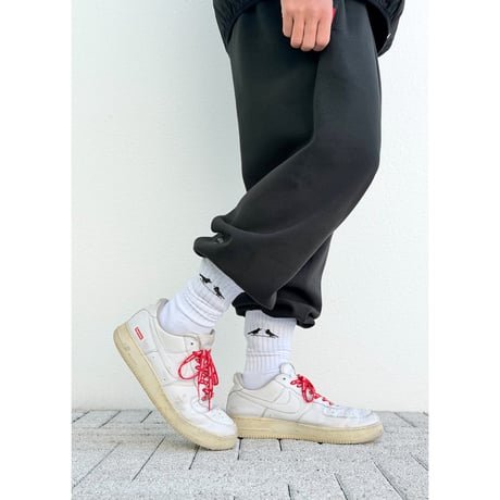 2 BIRDS LOGO CREW SOCK　W（ウィメンズサイズ）：22-25　M（メンズサイズ）：25-29