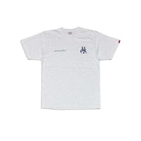 PRO INSTRUCTORS ACADEMY Tee　アッシュ　MサイズLサイズXLサイズ